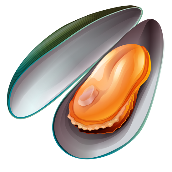 Mejillón