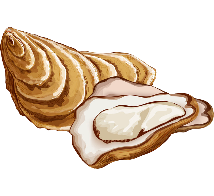 Ostra