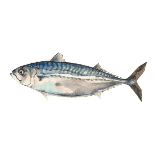 Caballa