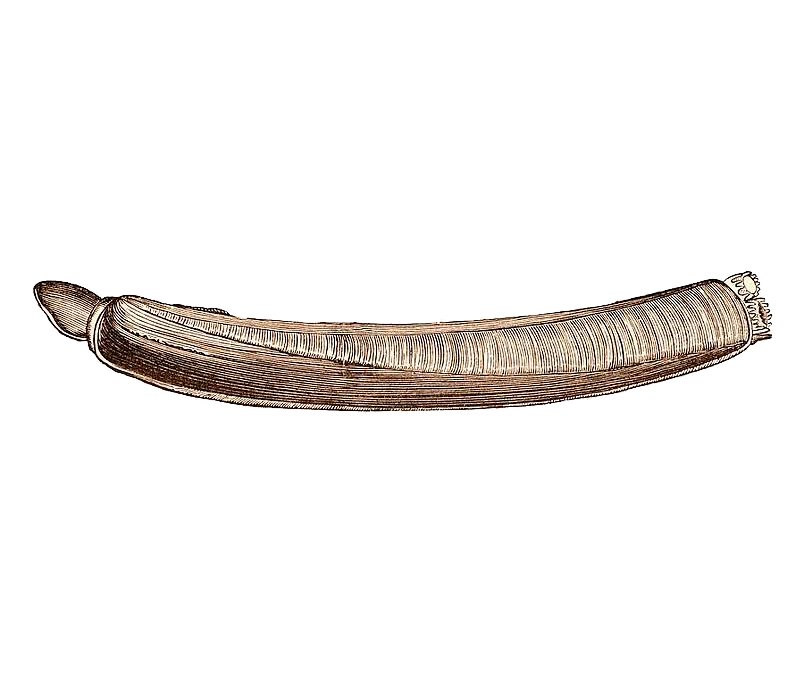 Navaja